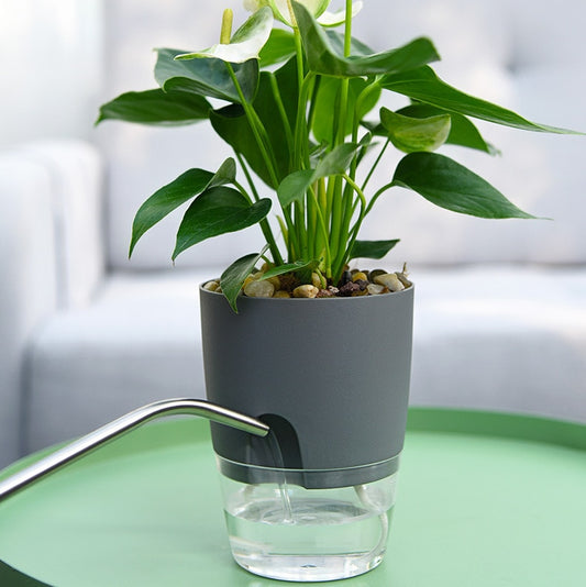 Self-watering Plant Pot with Water Container